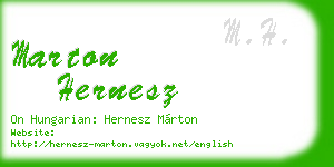 marton hernesz business card